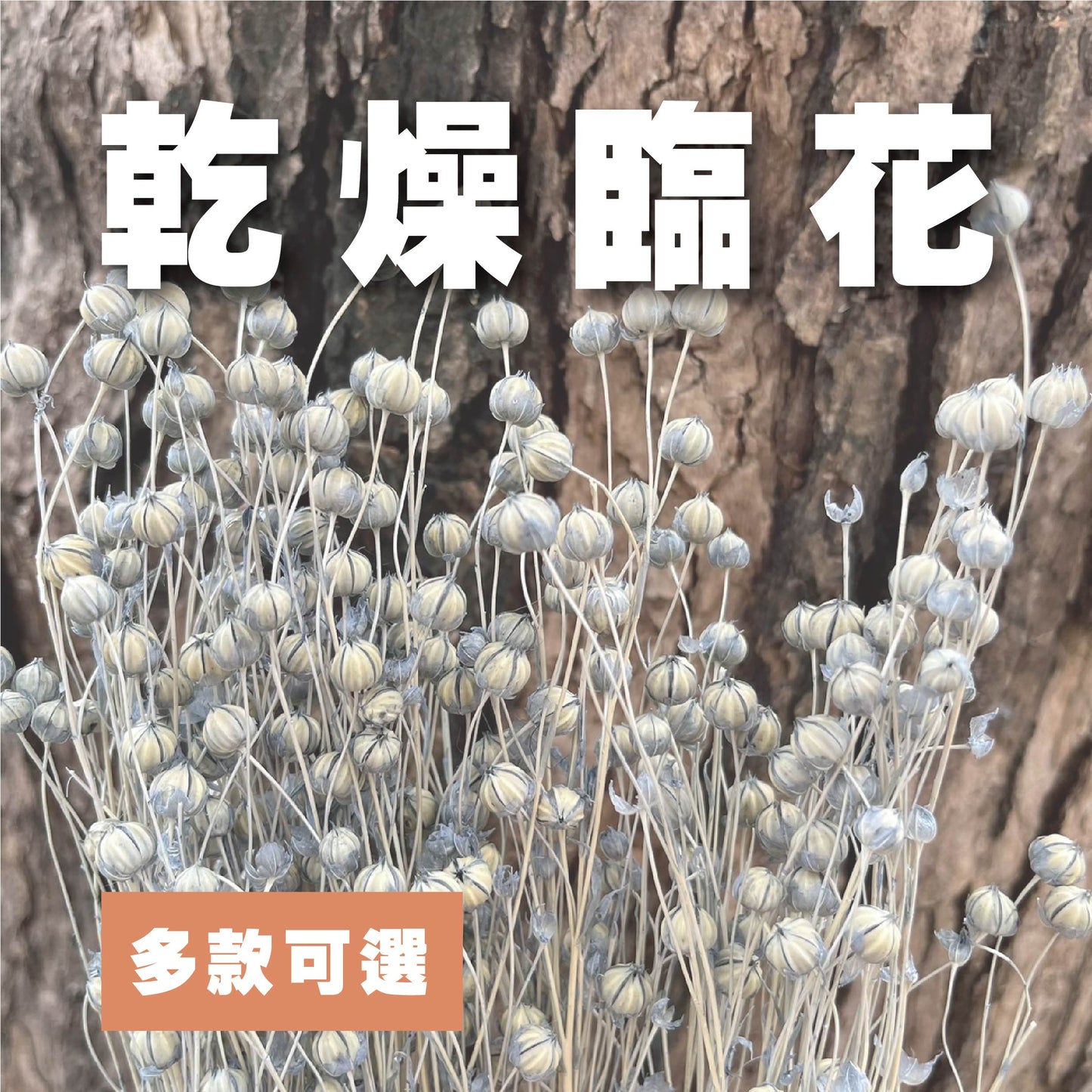 【台灣現貨】DA015 PA015臨花 小份