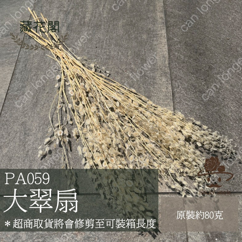 ✿ 台灣現貨 ✿ PA059-s 大翠扇