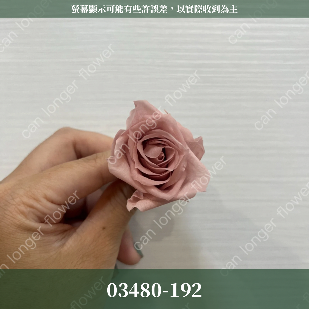 【台灣現貨】花大伯 03480 日本大地農園 中玫瑰 9朵裝 原裝 款式色彩齊全 永生玫瑰 不凋玫瑰