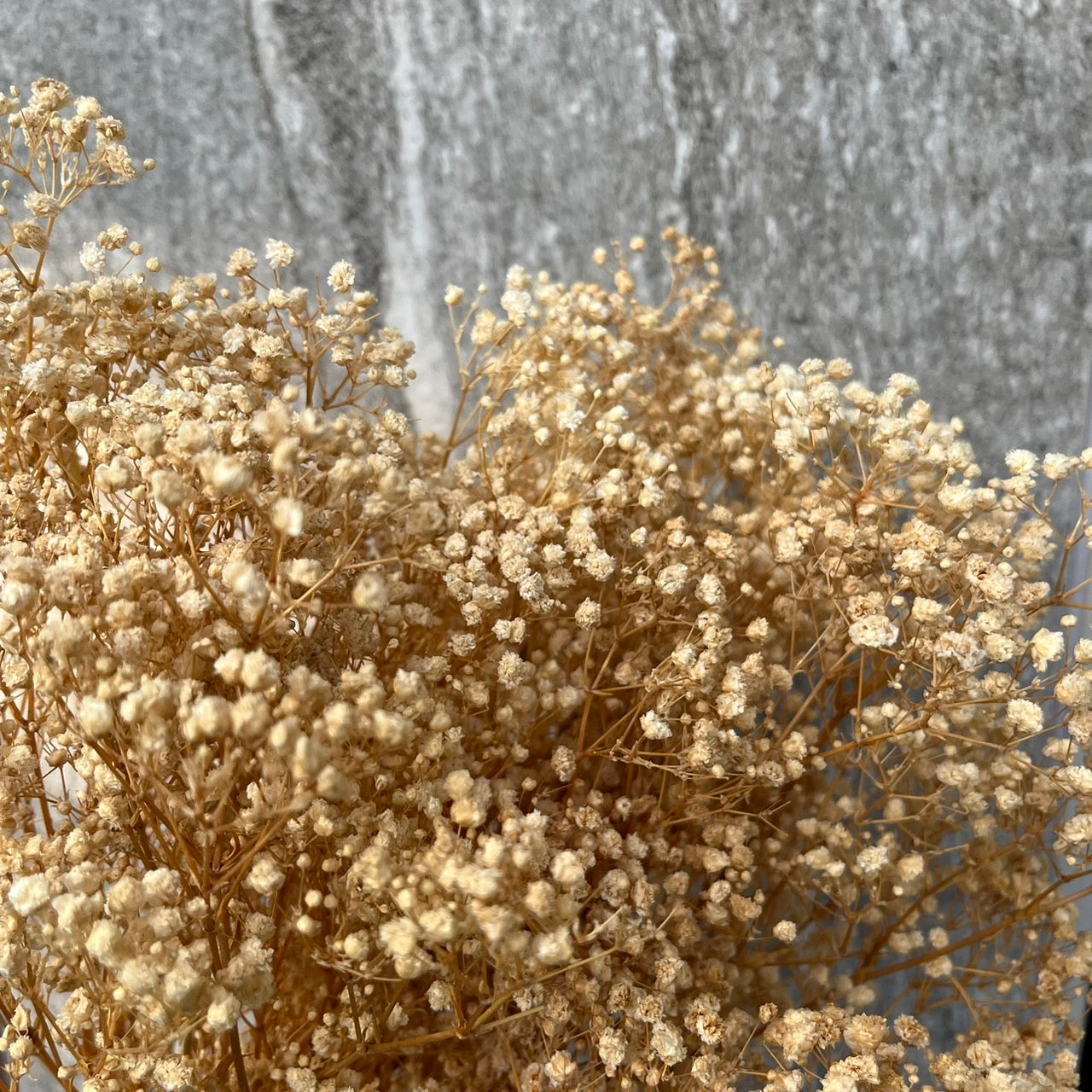 pf001S滿天星 夢幻星 永生花 小份量 捧花胸花 桌花花束 不凋花 手作DIY材料