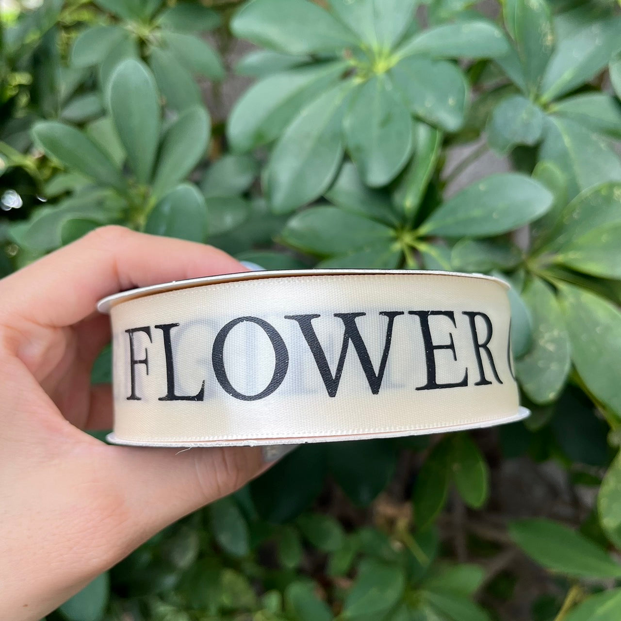 EP214緞帶(flower gif)3cm