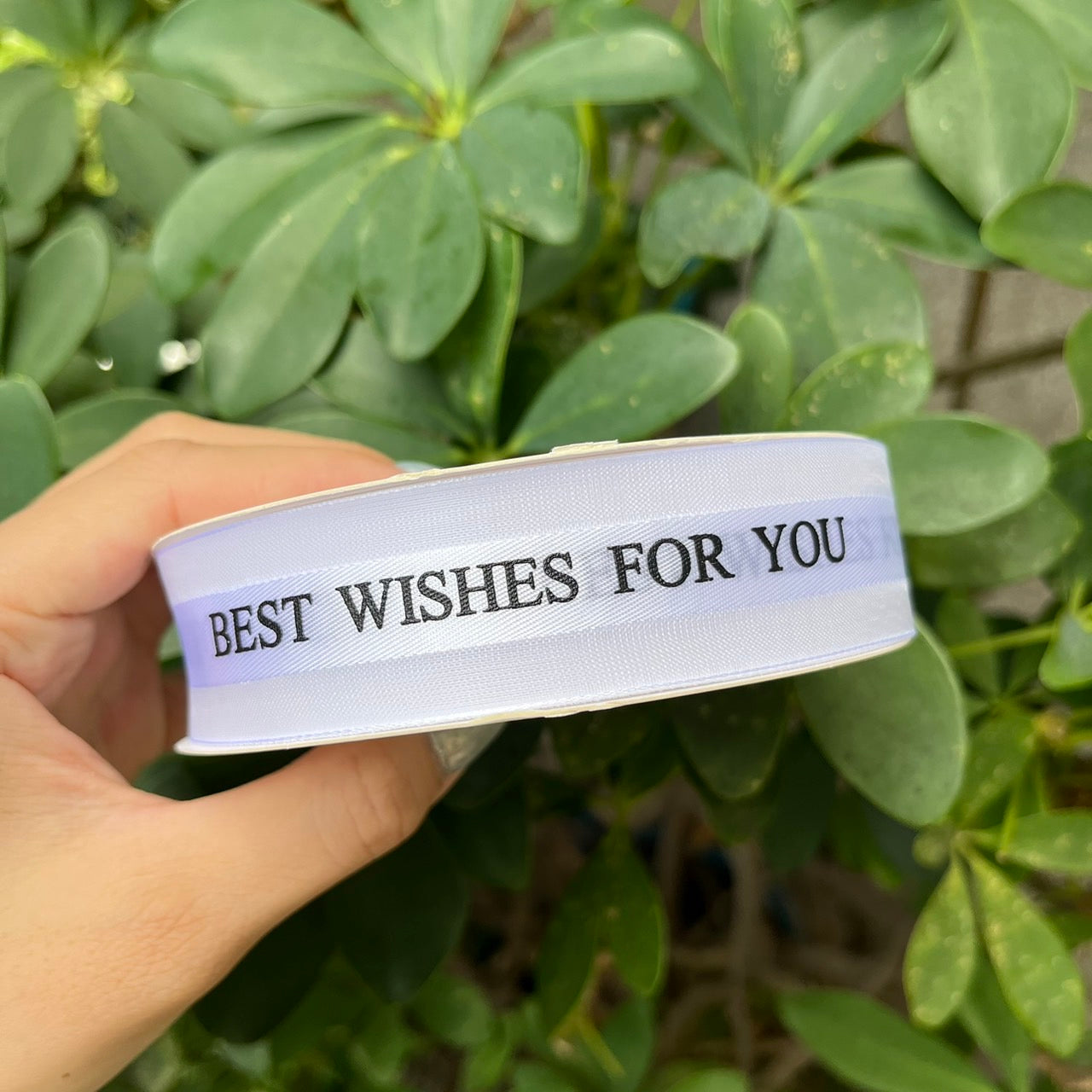 EP217緞帶(best wishes)2.5cm