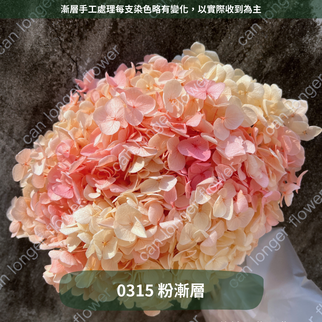 ✿ 台灣現貨 ✿ PF005 安娜繡球 單支 繡球花 繡球 紫陽花