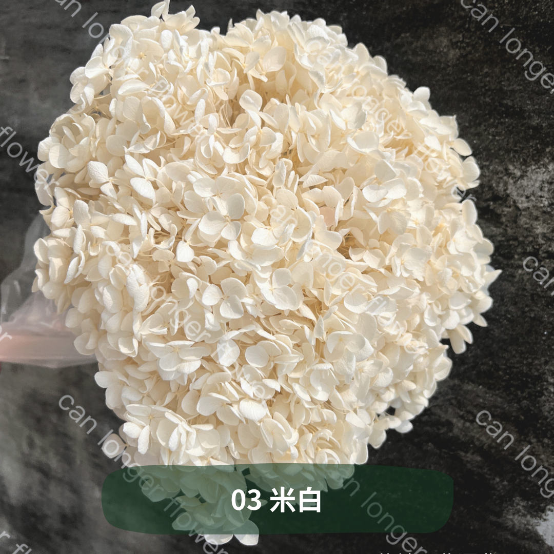 ✿ 台灣現貨 ✿ PF005 安娜繡球 單支 繡球花 繡球 紫陽花