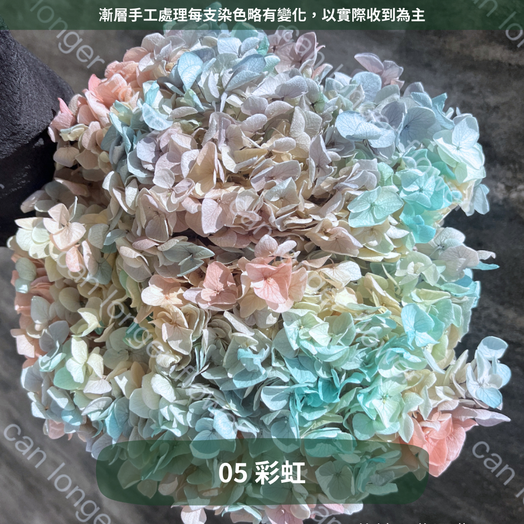 ✿ 台灣現貨 ✿ PF005 安娜繡球 單支 繡球花 繡球 紫陽花