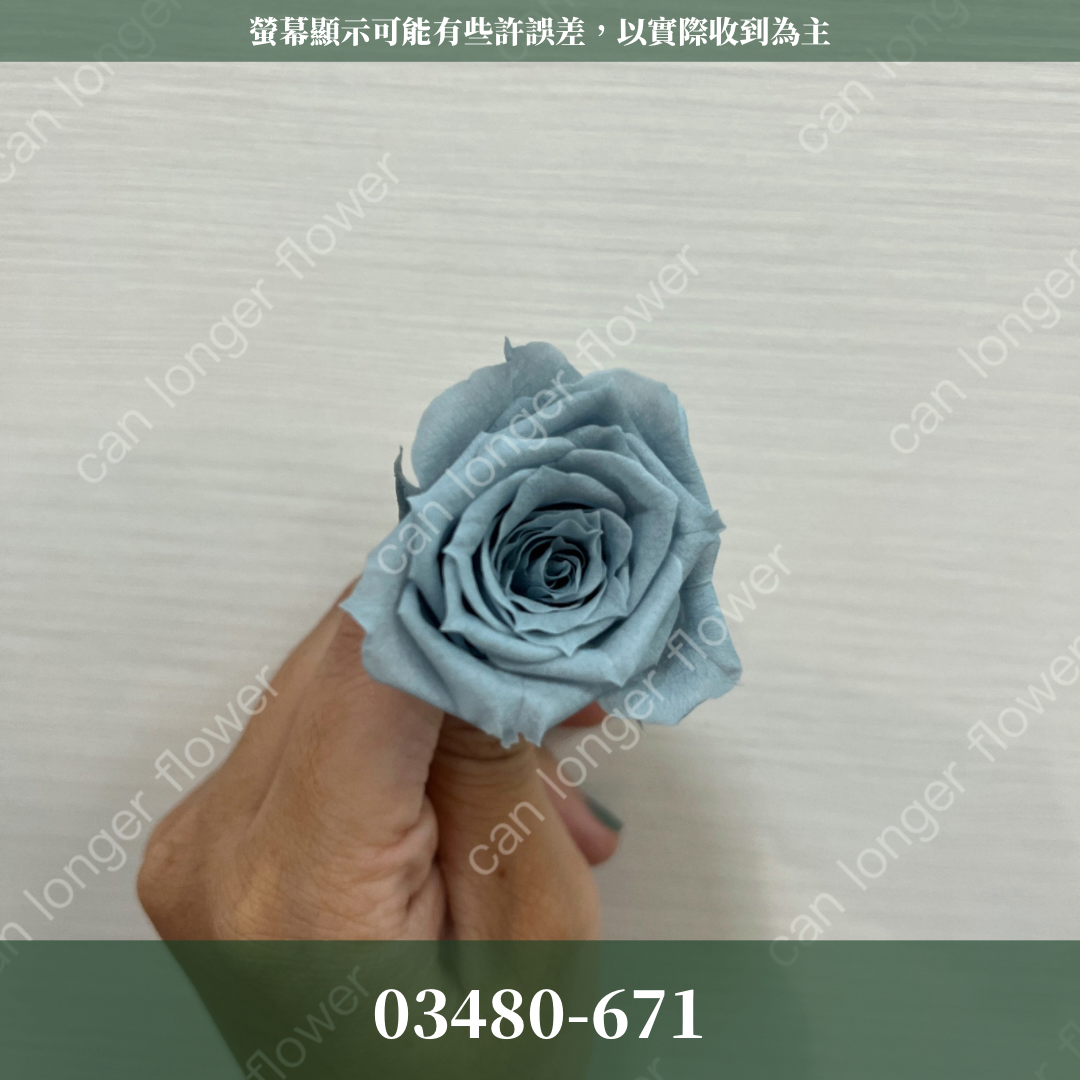 【台灣現貨】花大伯 03480 日本大地農園 中玫瑰 9朵裝 原裝 款式色彩齊全 永生玫瑰 不凋玫瑰