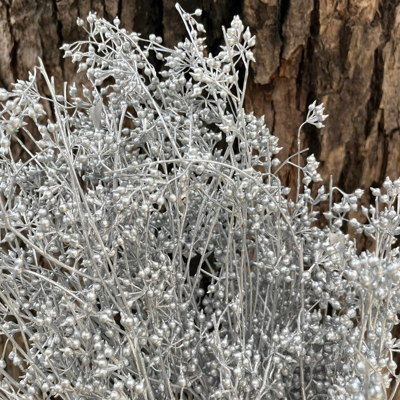 PS001 DS001s小米果 小米尤加利 尤加利果 桉樹果 永生花 乾燥花 居家裝飾花材 手作花材 花藝設計