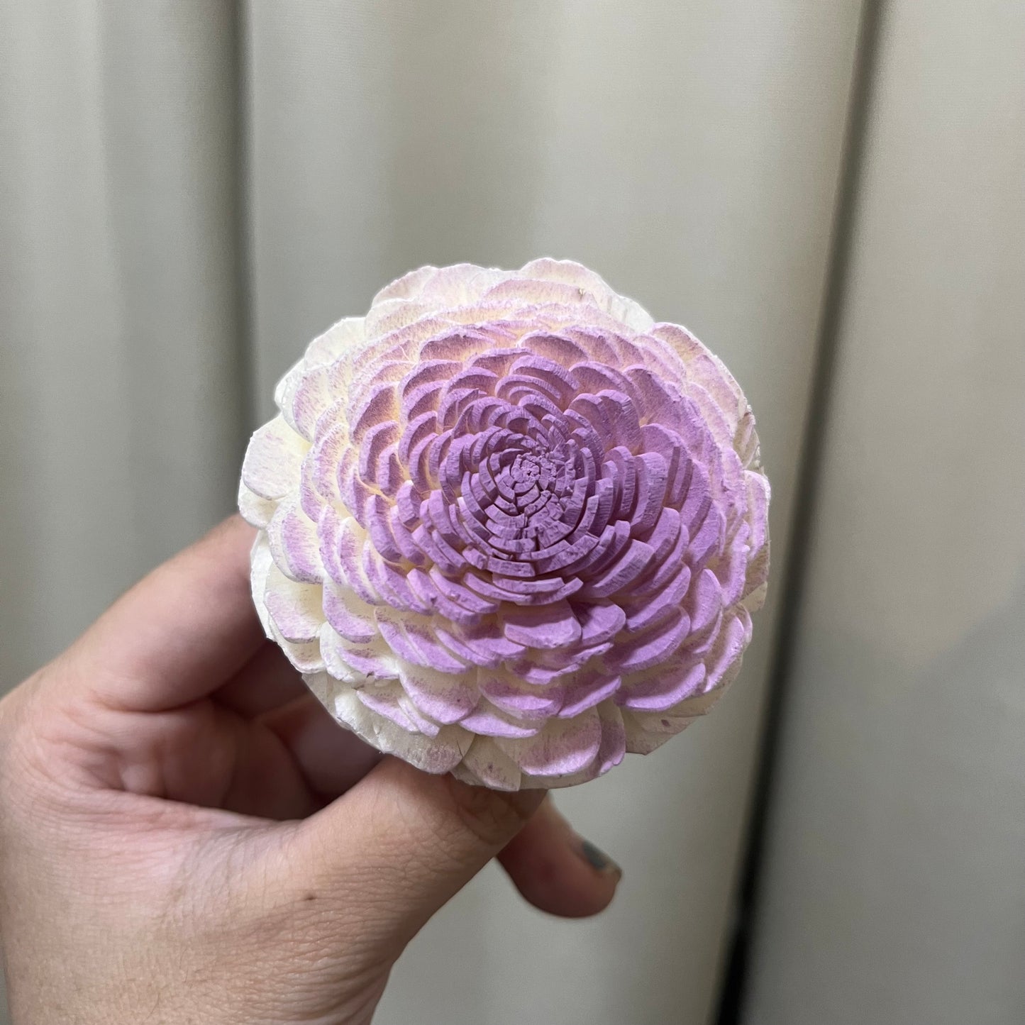 ✿ 台灣現貨 ✿ S-C 索拉花 6CM 通草花 擴香花 太陽玫瑰 日本大地 太陽菊