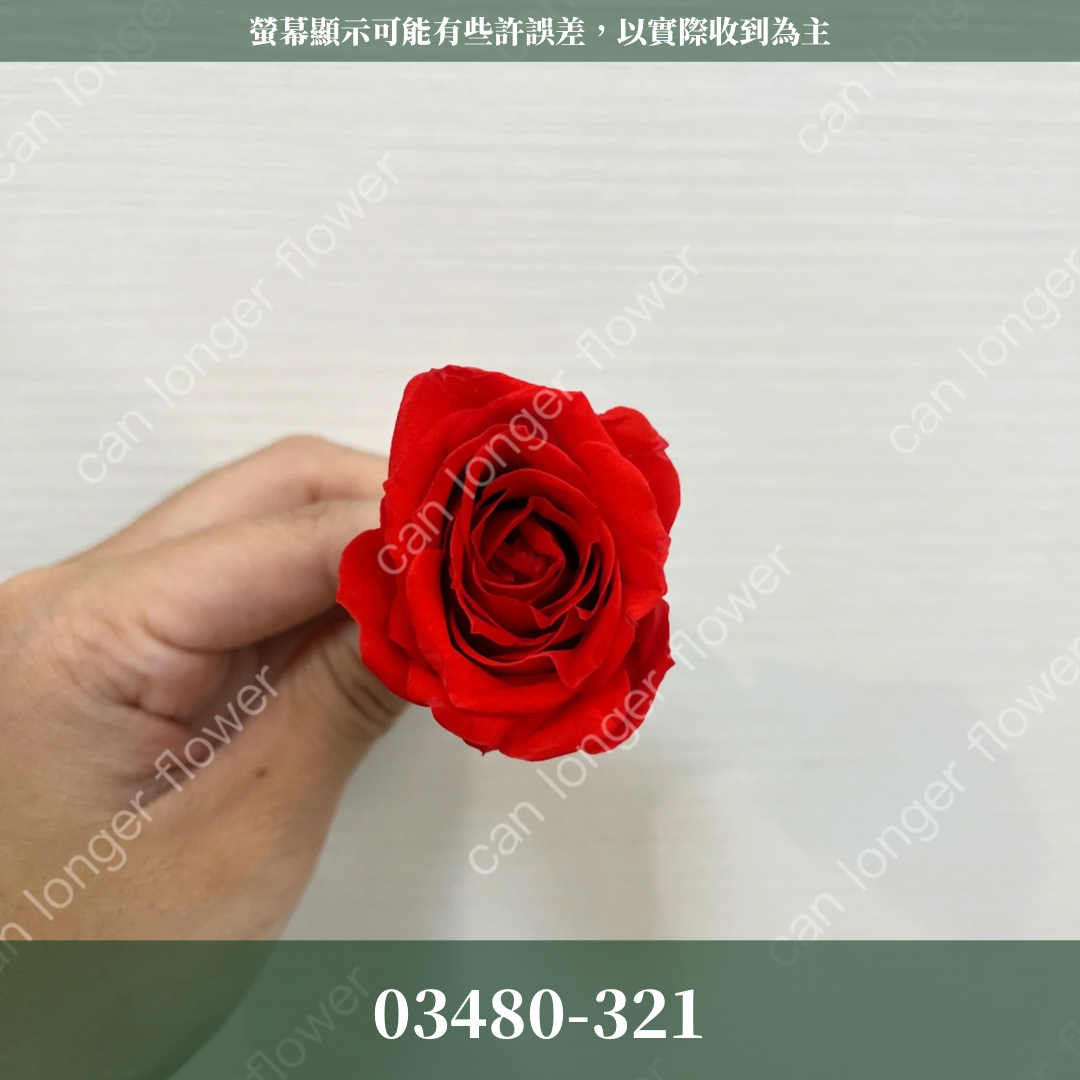 【台灣現貨】花大伯 03480 日本大地農園 中玫瑰 9朵裝 原裝 款式色彩齊全 永生玫瑰 不凋玫瑰