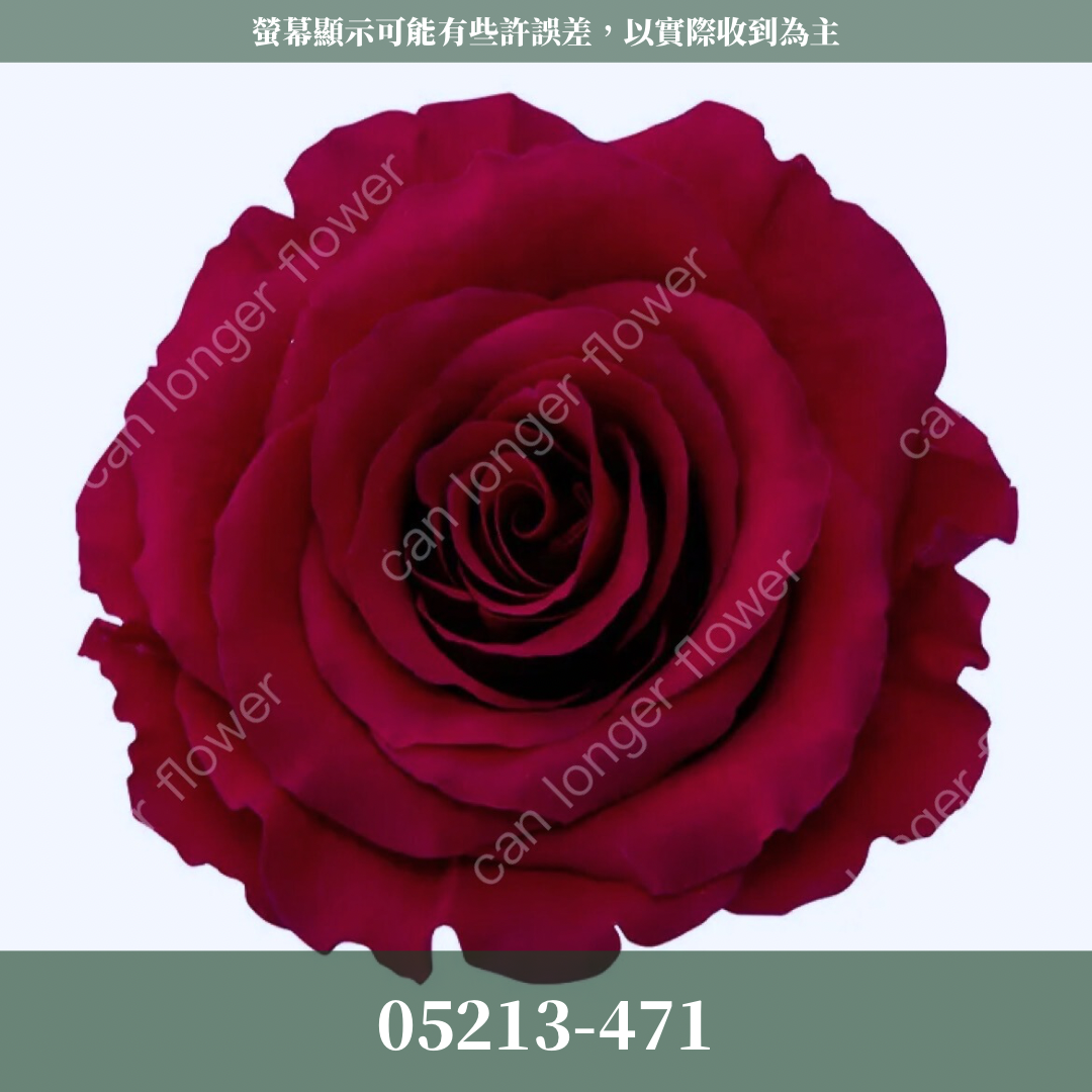 【台灣現貨】花大伯 05213 日本大地農園 滿開玫瑰 6朵裝 原裝 色彩齊全 永生玫瑰 不凋玫瑰