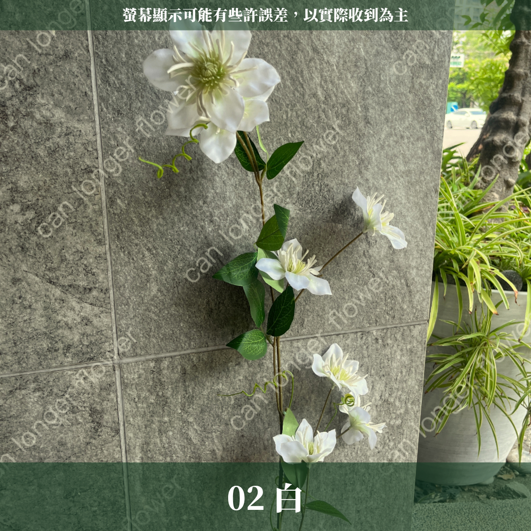 AF014仿真鐵線蓮 6頭