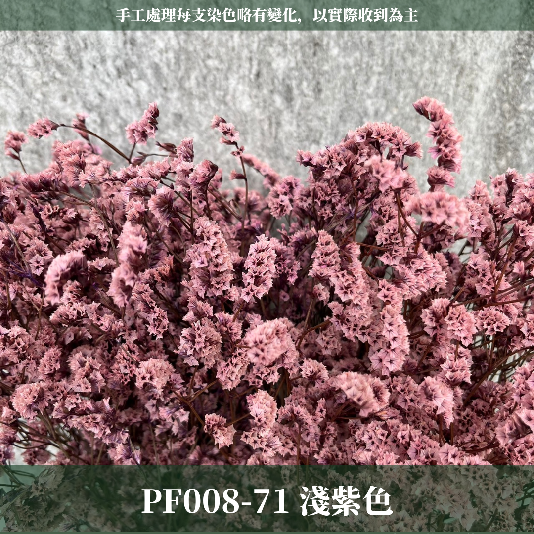 PF008水晶花 原裝 台灣現貨