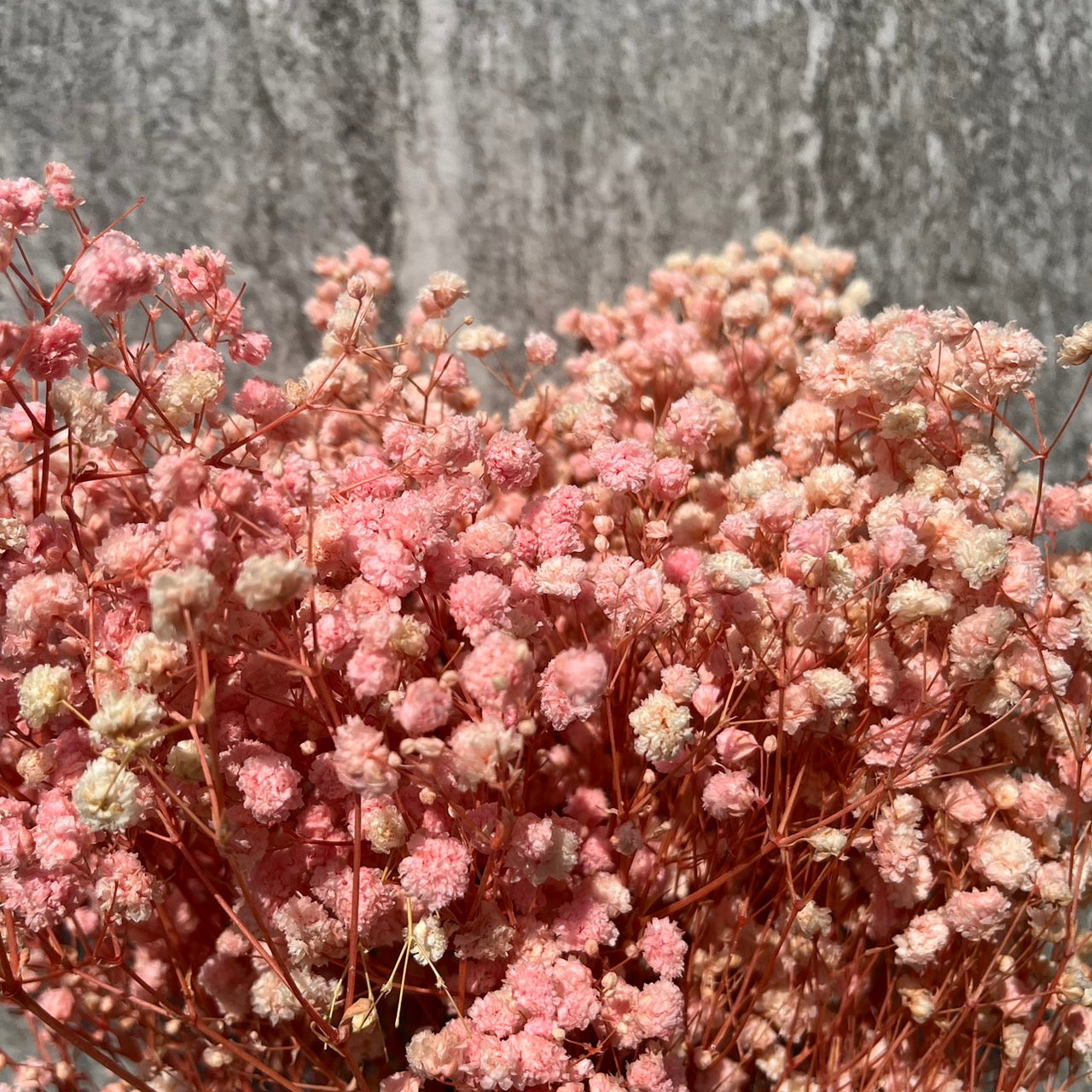 pf001S滿天星 夢幻星 永生花 小份量 捧花胸花 桌花花束 不凋花 手作DIY材料