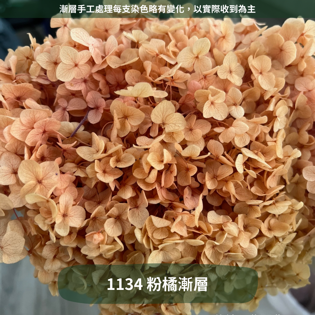 ✿ 台灣現貨 ✿ PF005 安娜繡球 單支 繡球花 繡球 紫陽花