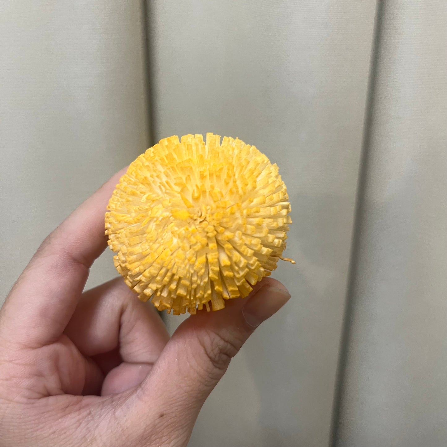 ✿ 台灣現貨 ✿ S-E 索拉花 5CM 通草花 擴香花 乒乓 乒乓球 乒乓菊 乒乓花型