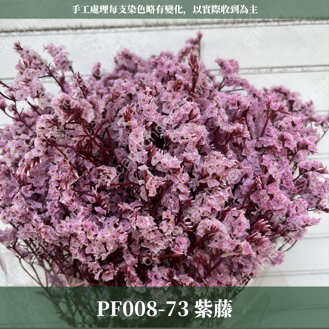PF008水晶花 原裝 台灣現貨