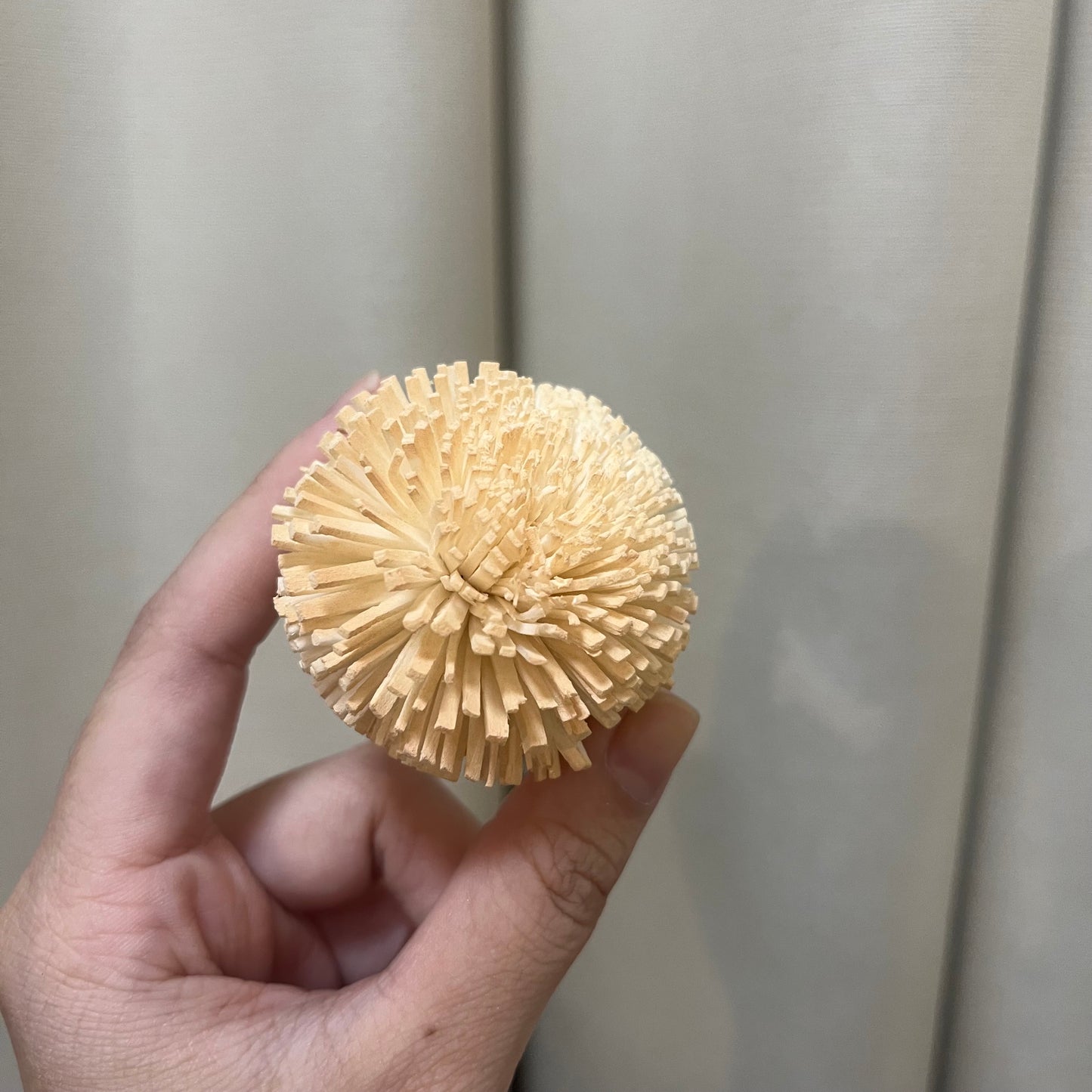 ✿ 台灣現貨 ✿ S-E 索拉花 5CM 通草花 擴香花 乒乓 乒乓球 乒乓菊 乒乓花型