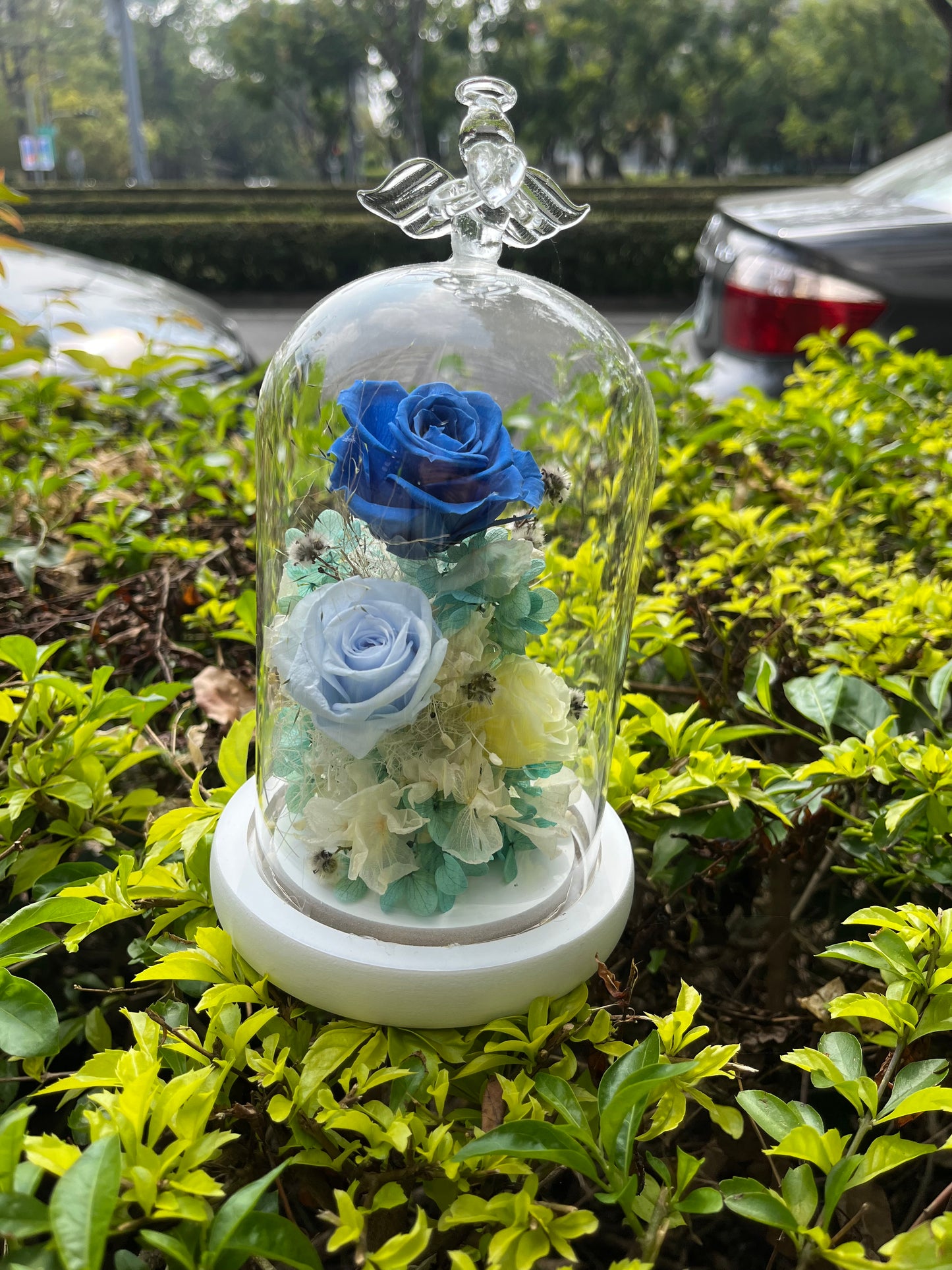 gift-g012永生花罩盅M