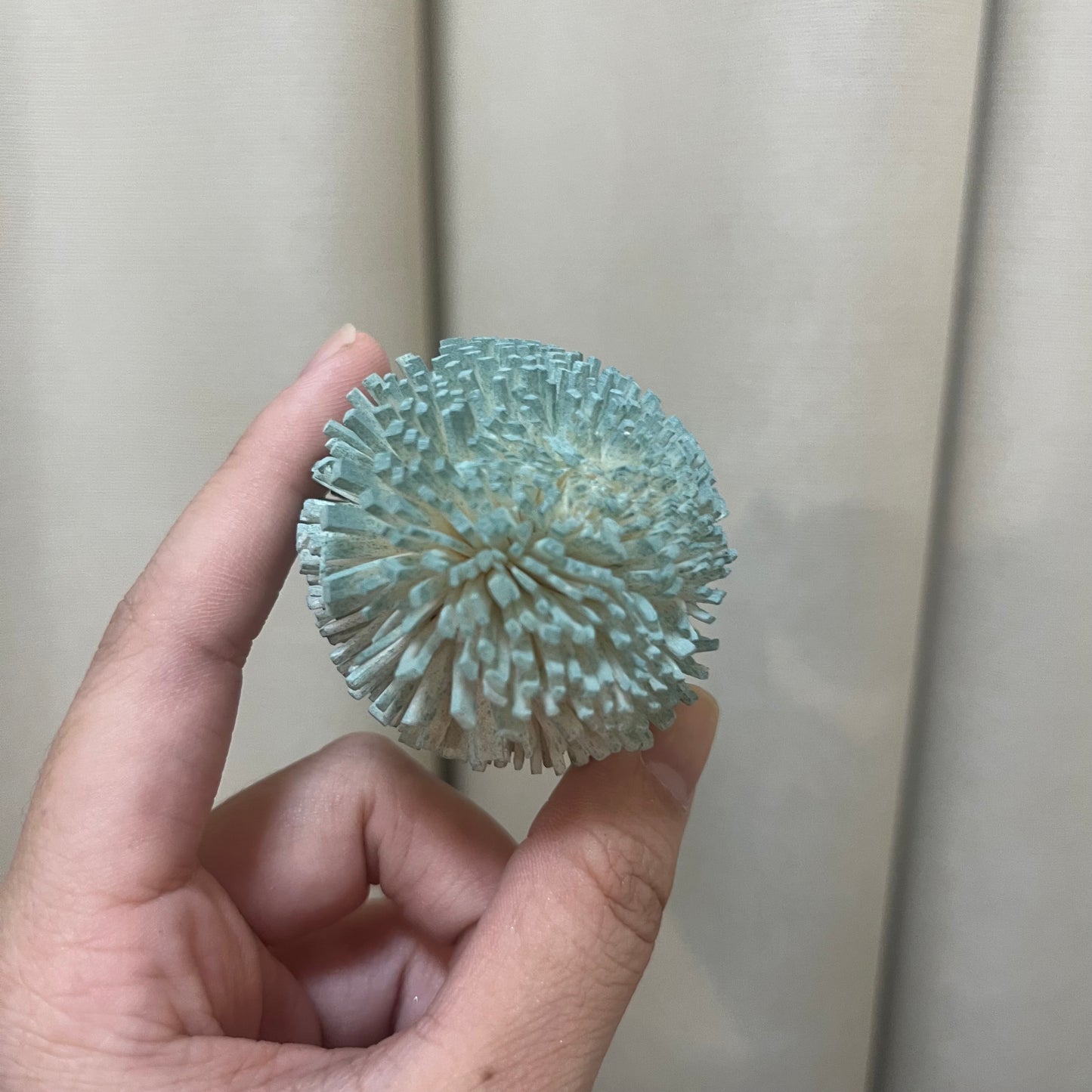 ✿ 台灣現貨 ✿ S-E 索拉花 5CM 通草花 擴香花 乒乓 乒乓球 乒乓菊 乒乓花型