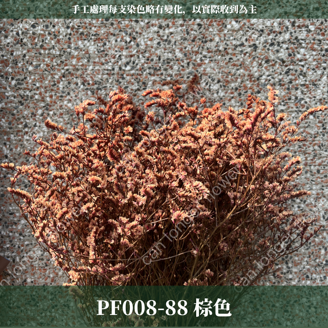 PF008水晶花 原裝 台灣現貨