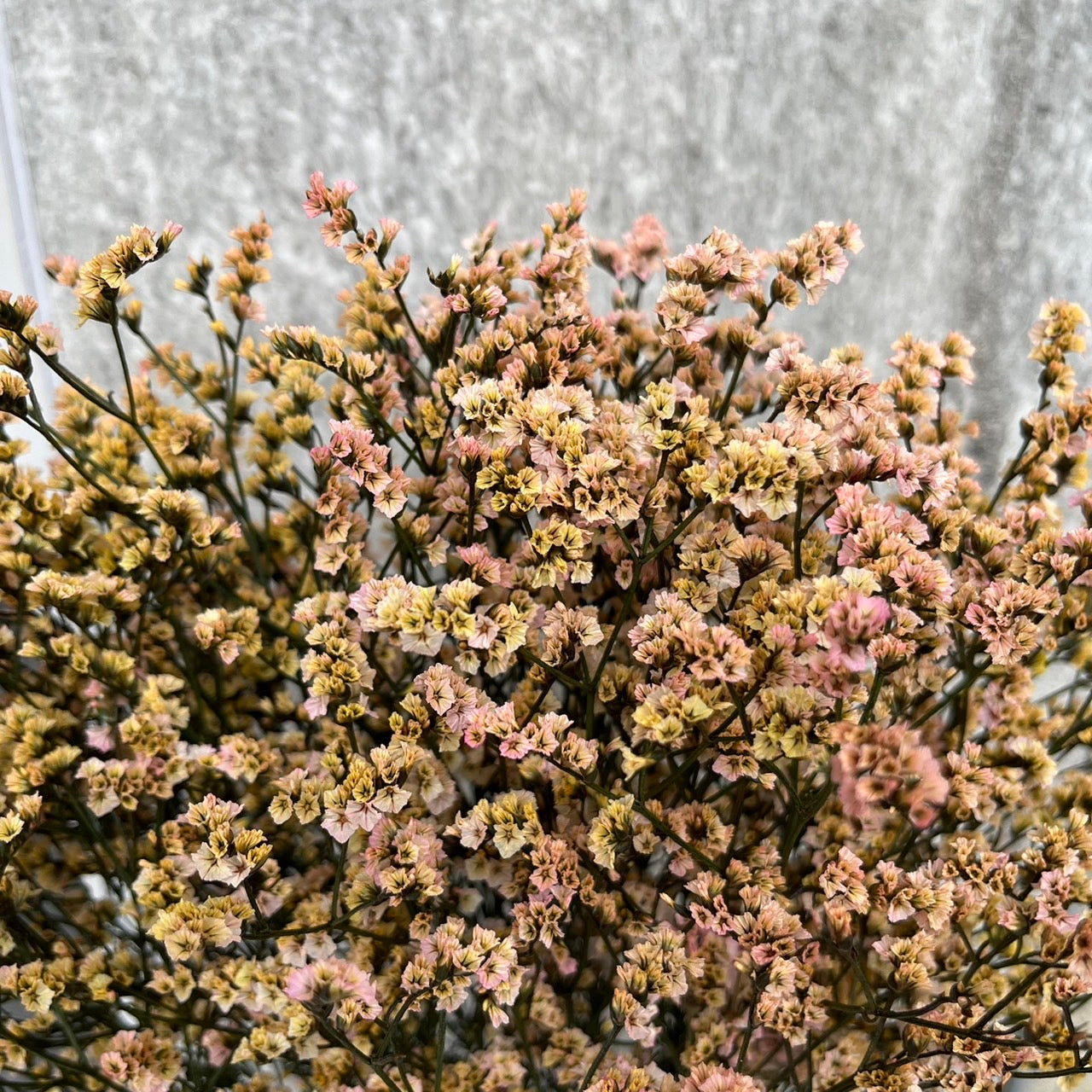 ✿ 台灣現貨 ✿ PF008水晶花 原裝