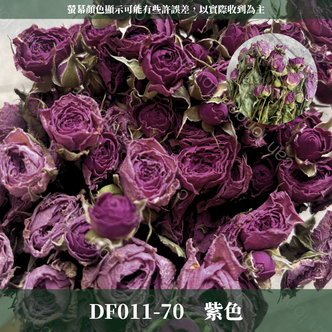 DF011 乾燥玫瑰 約30頭