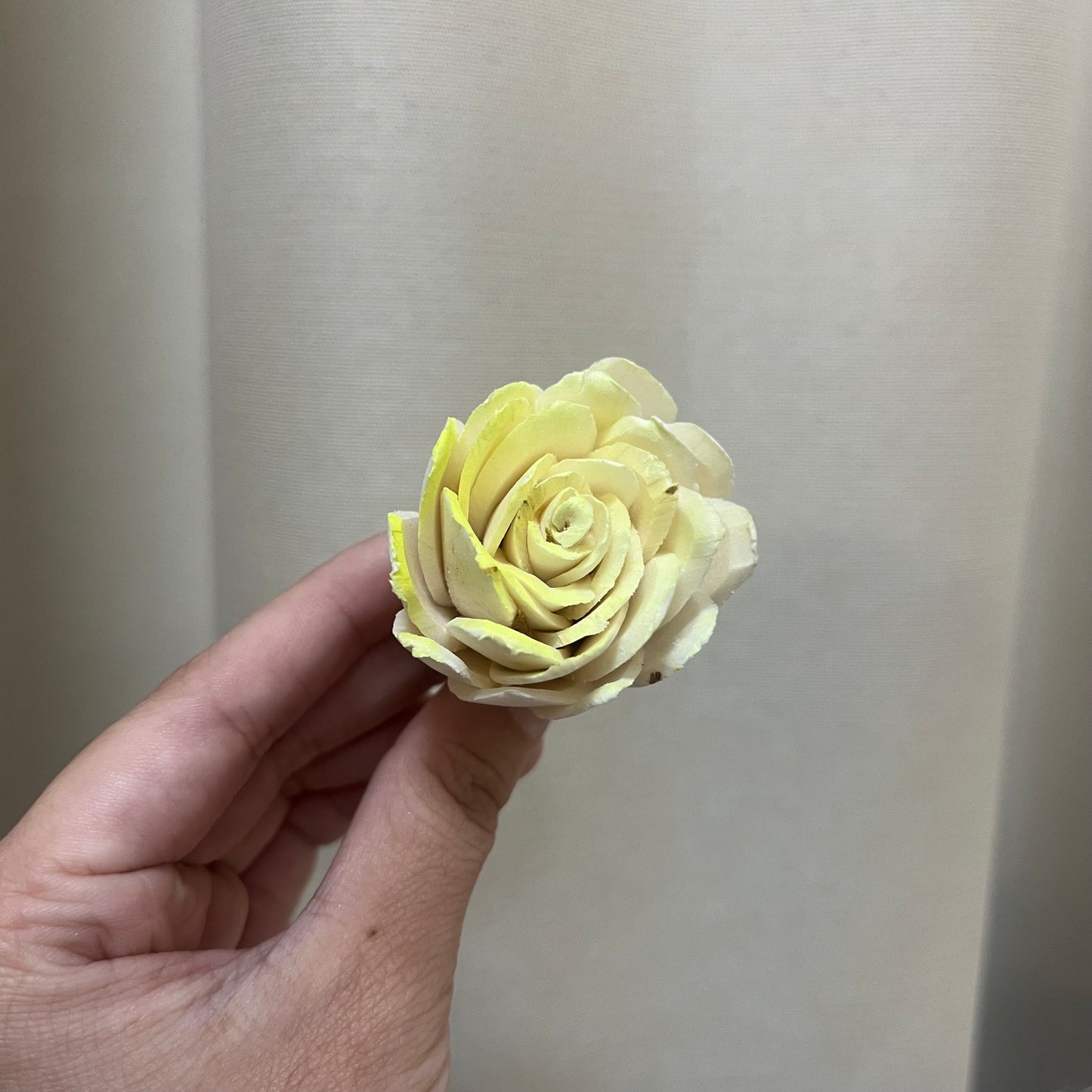 ✿ 台灣現貨 ✿ S-X 索拉花 4CM 通草花 擴香花 鬱金香