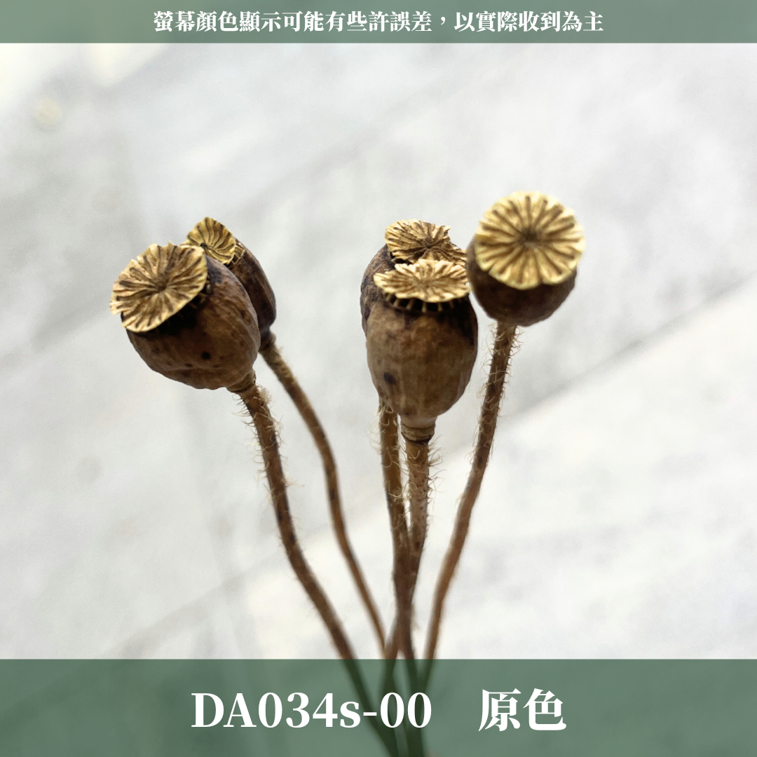 DA034s 虞美人 小包 台灣現貨
