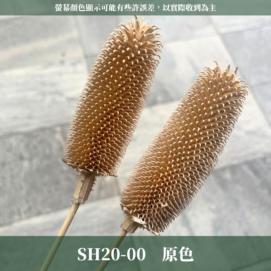 SH20 拉毛果 台灣現貨 2支/1包