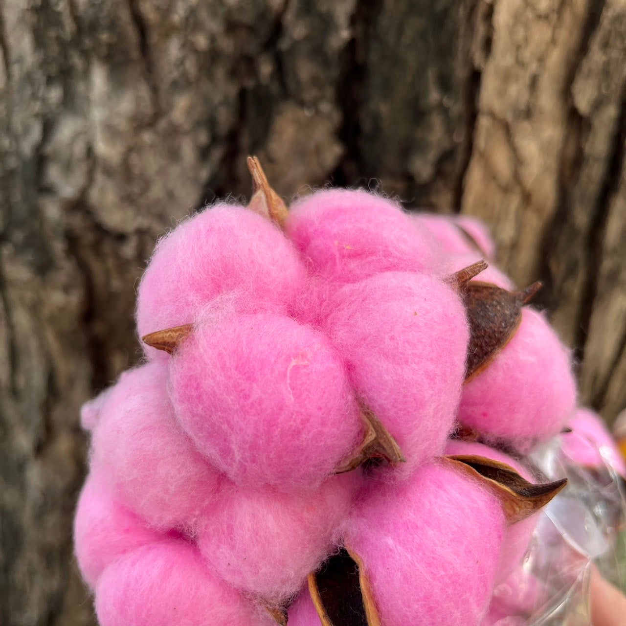 ✿ 台灣現貨 ✿ SH00棉花 小份量 單朵 手工花