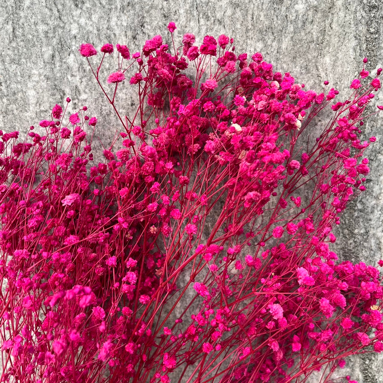 pf001S滿天星 夢幻星 永生花 小份量 捧花胸花 桌花花束 不凋花 手作DIY材料