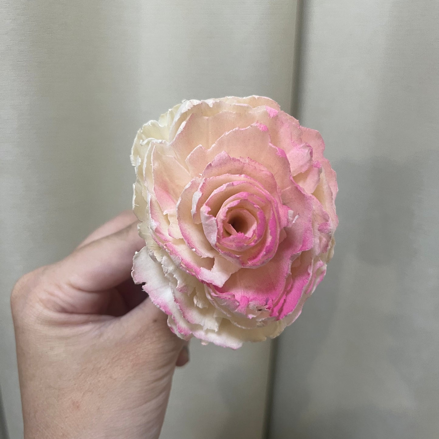 ✿ 台灣現貨 ✿ S-R 索拉花 6CM 通草花 擴香花 波斯 波斯菊 波斯玫瑰