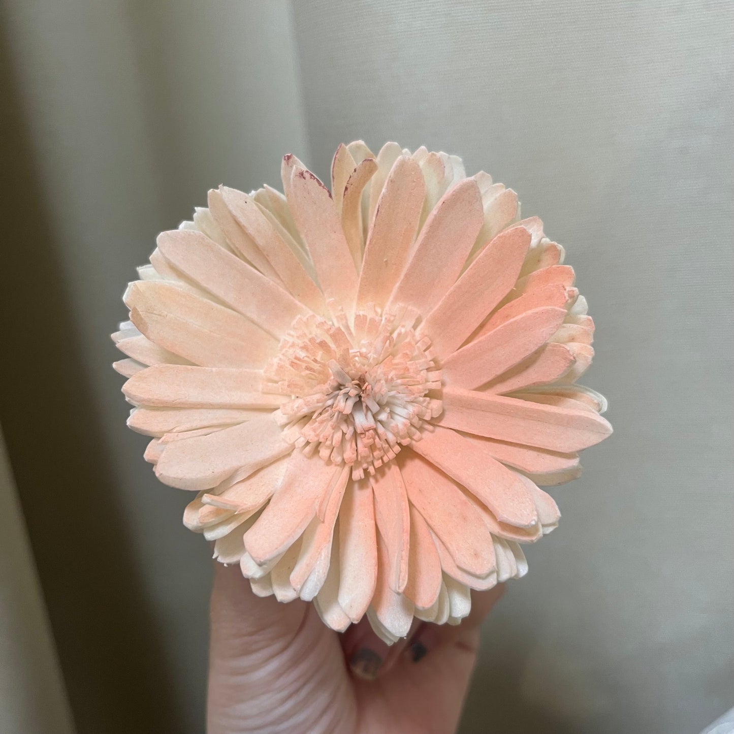✿ 台灣現貨 ✿ S-AD 索拉花 8CM 通草花 擴香花 向日葵 太陽花 太陽菊