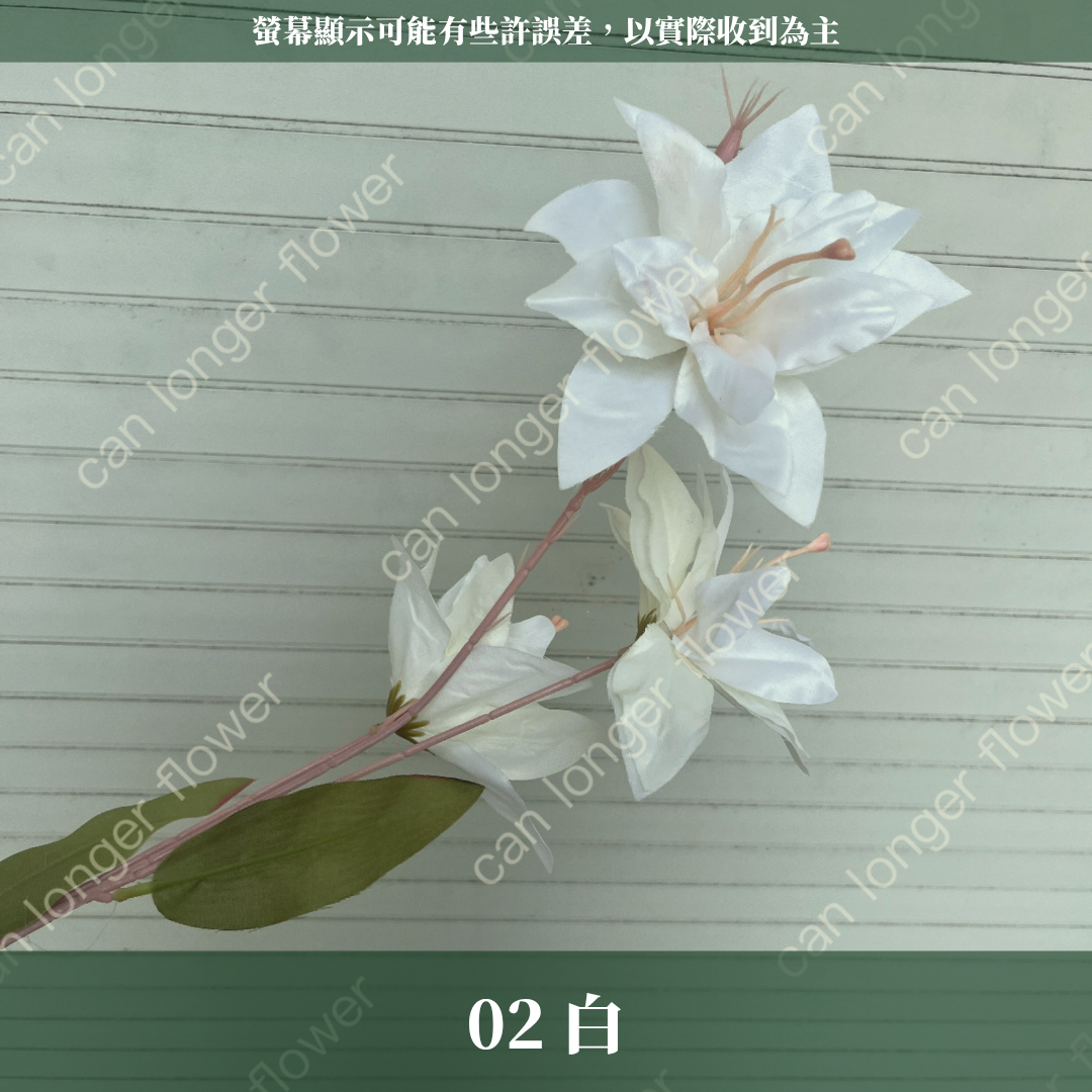 AF012 仿真小百合 3頭