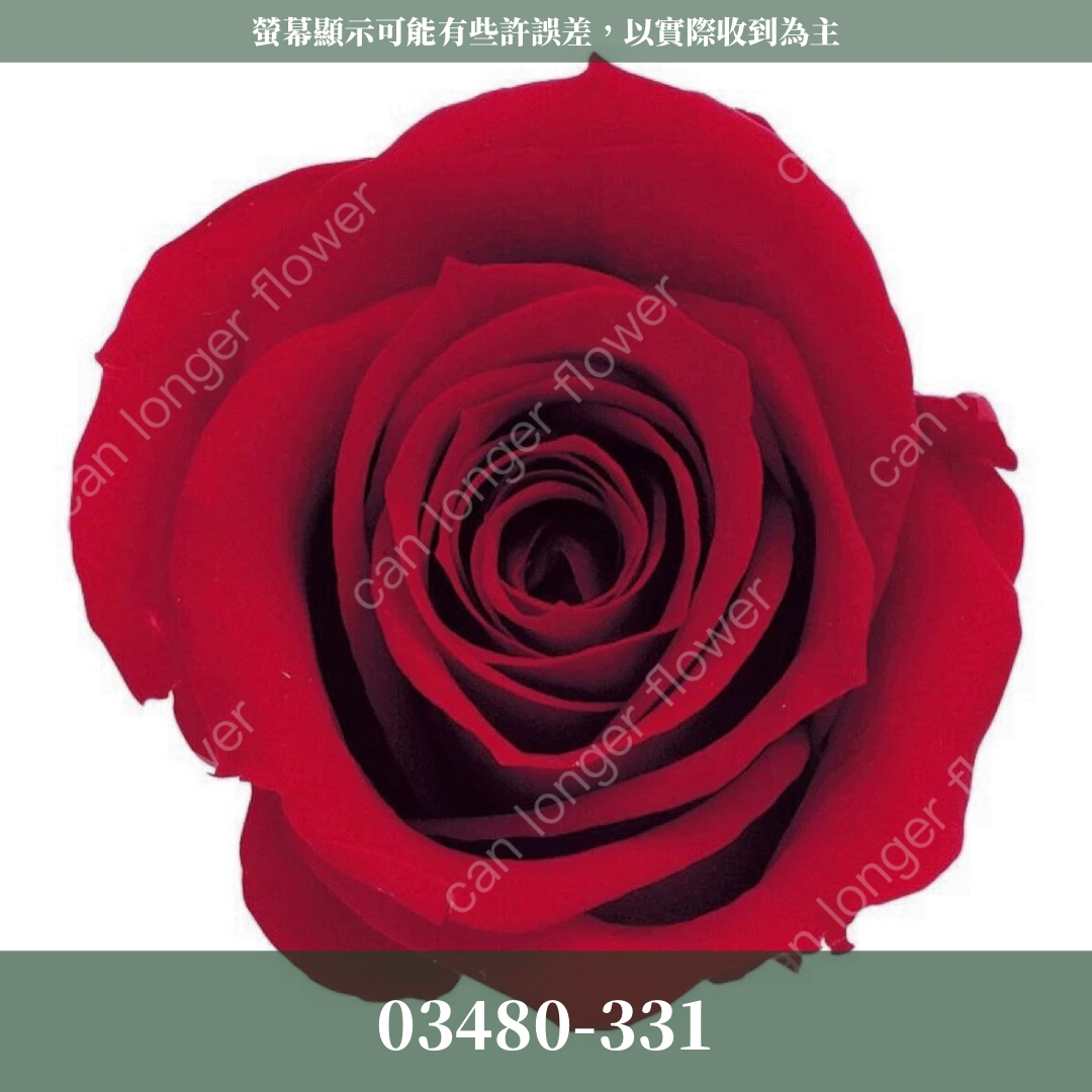 【台灣現貨】花大伯 03480 日本大地農園 中玫瑰 9朵裝 原裝 款式色彩齊全 永生玫瑰 不凋玫瑰