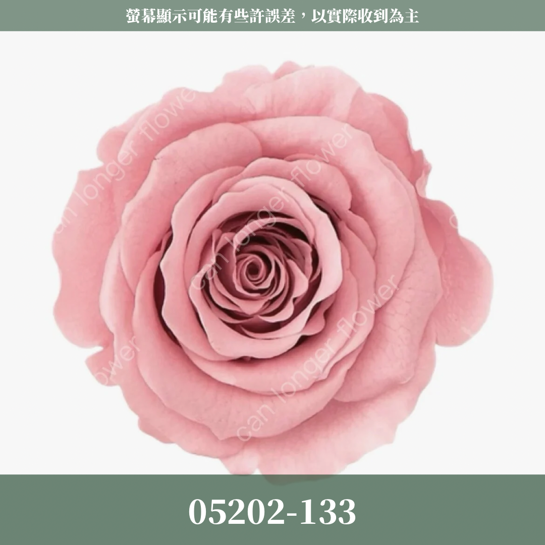 【台灣現貨】花大伯 05202 日本大地農園 大玫瑰 9朵裝 原裝 款式色彩齊全 永生玫瑰 不凋玫瑰