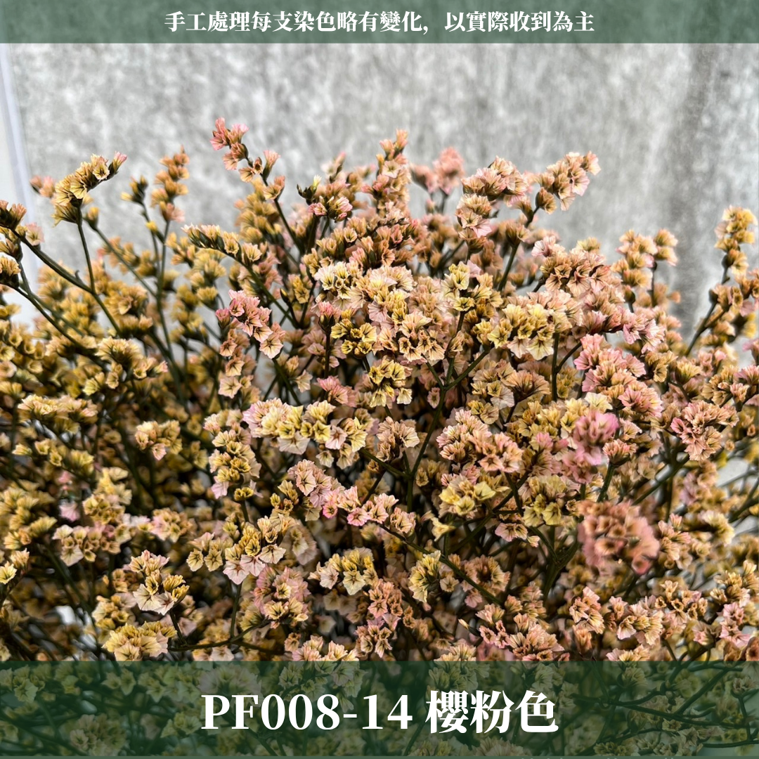 PF008水晶花 原裝 台灣現貨