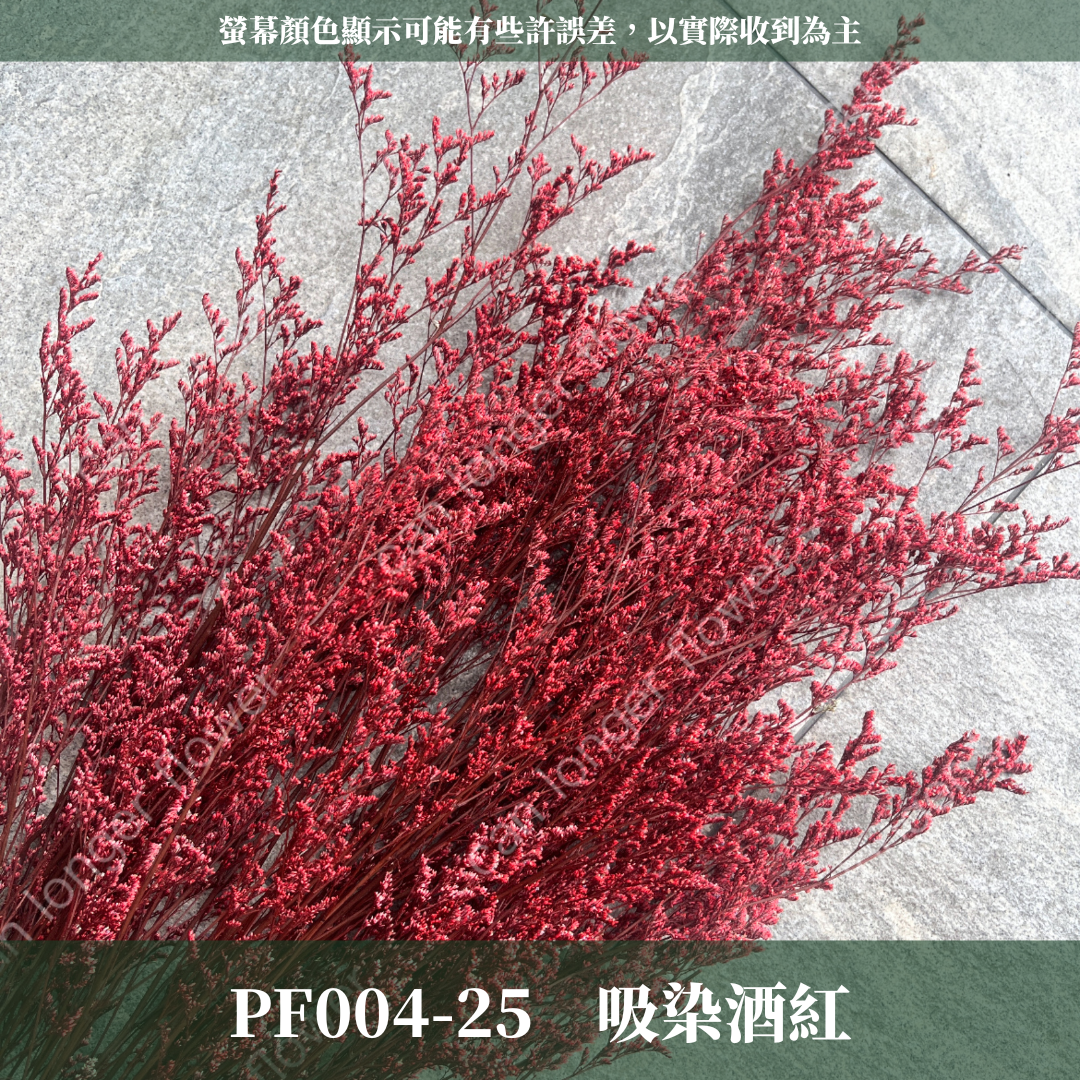PF004 卡斯比亞/情人草 原裝 台灣現貨