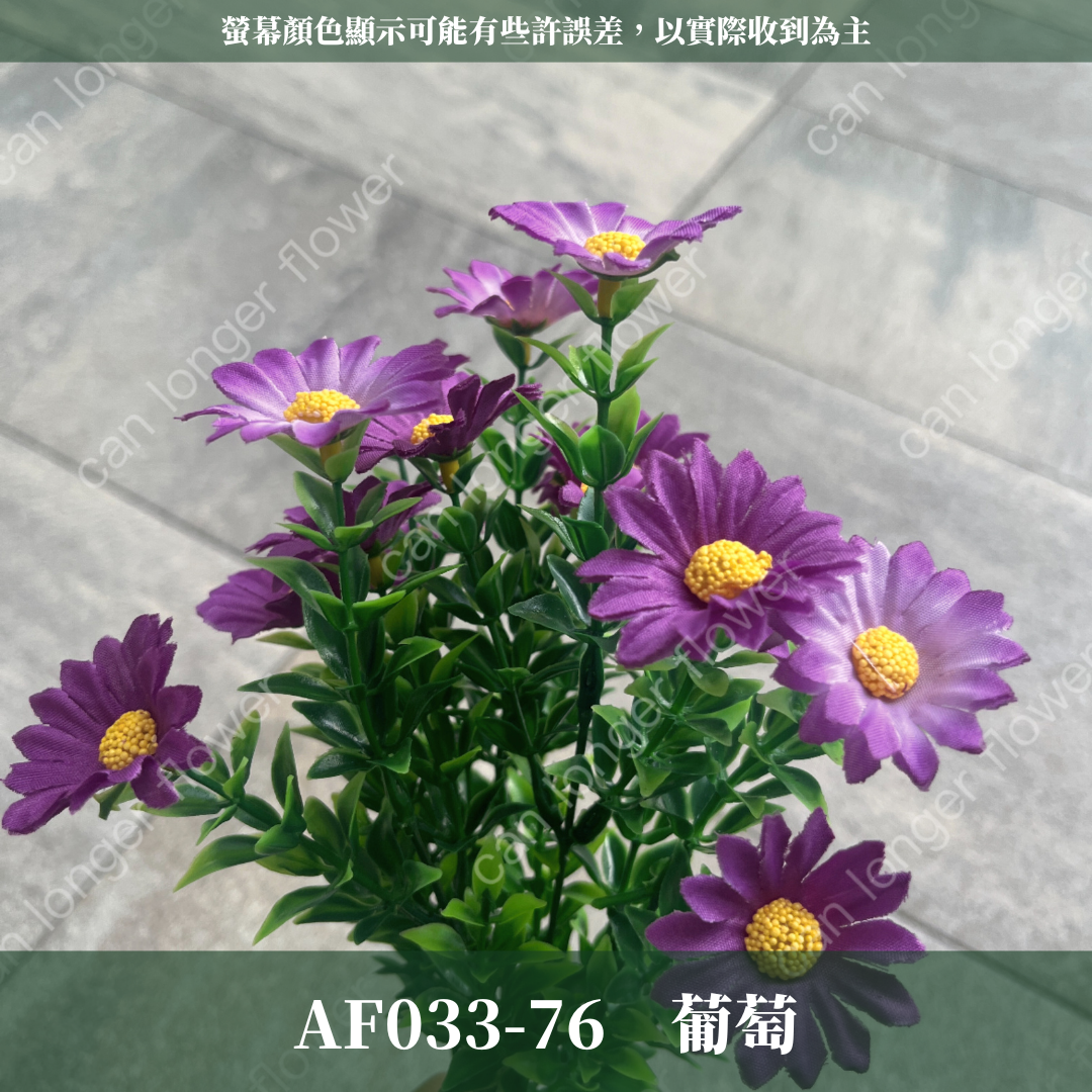 AF033 仿真小雛菊(5分支) 仿真花