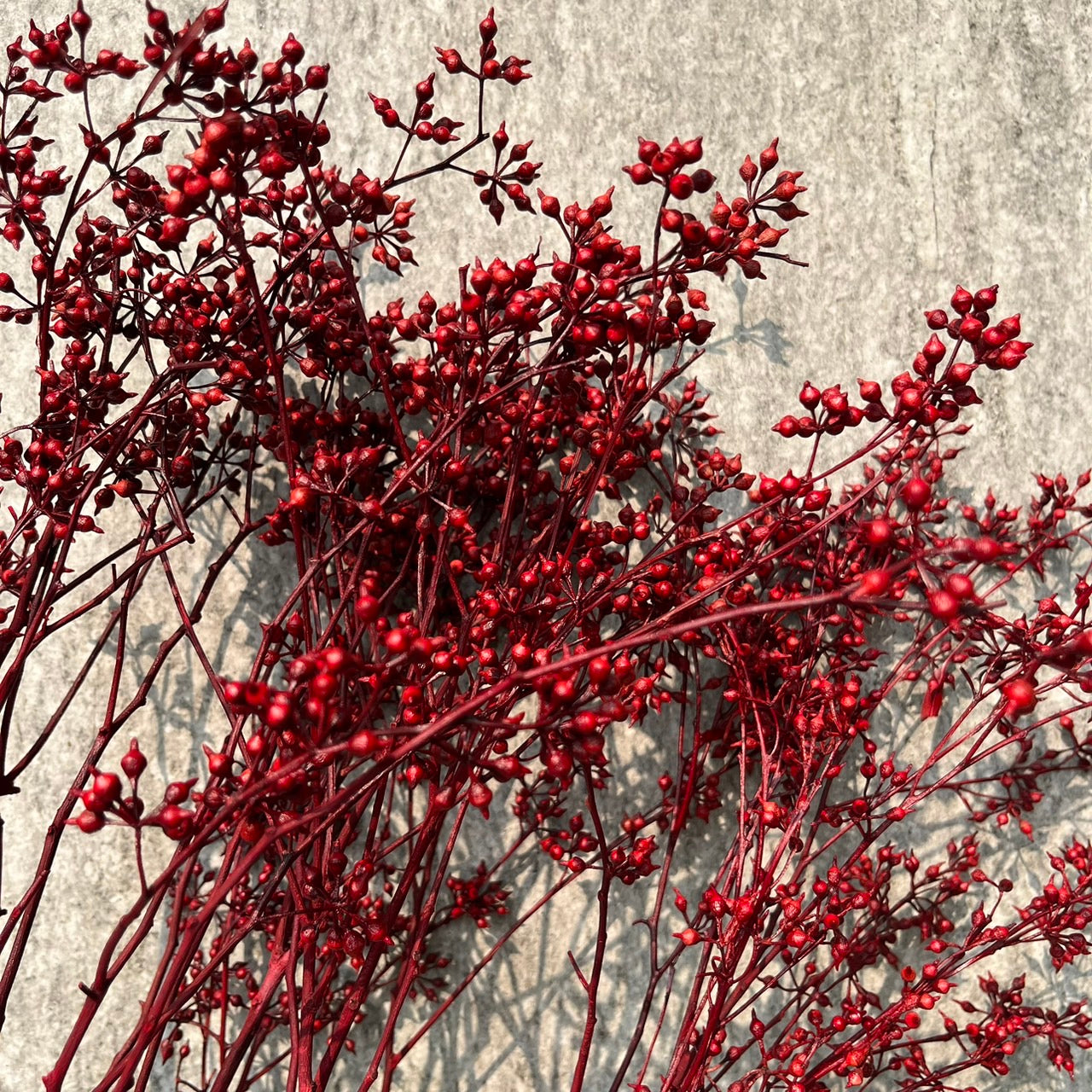 PS001 DS001s小米果 小米尤加利 尤加利果 桉樹果 永生花 乾燥花 居家裝飾花材 手作花材 花藝設計