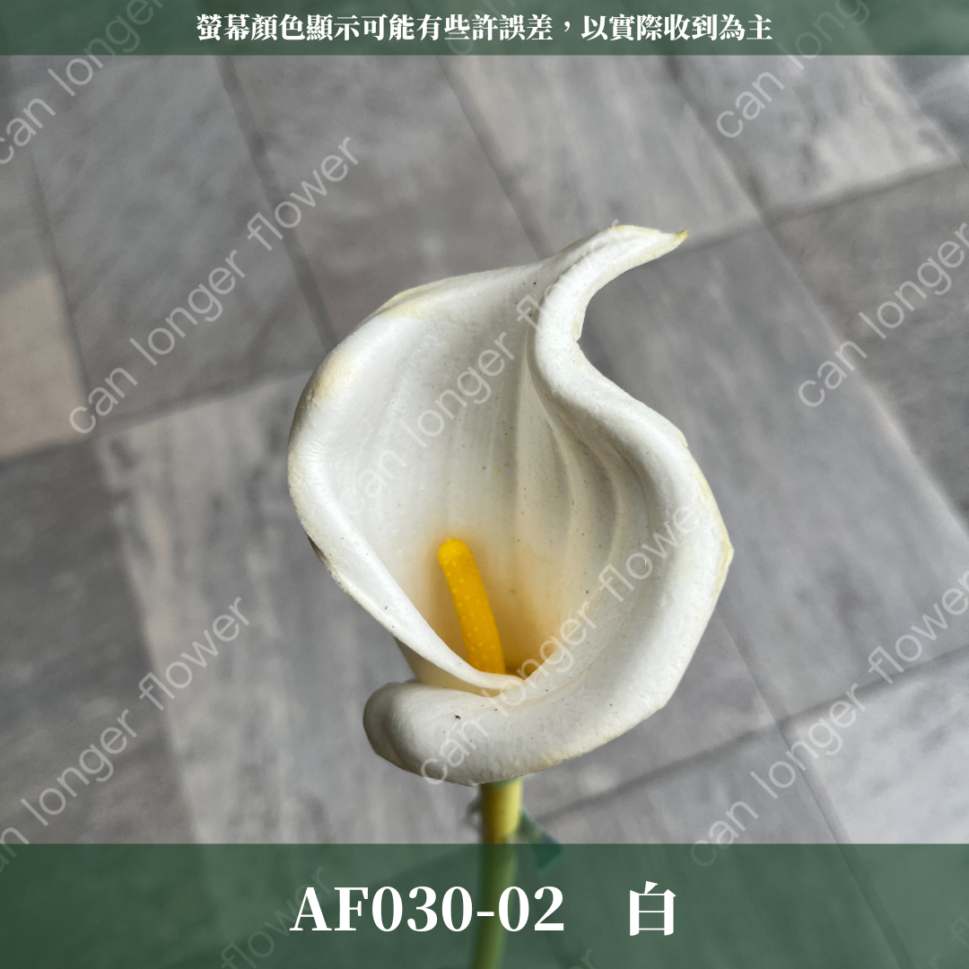 AF030 仿真海芋(單支) 仿真花
