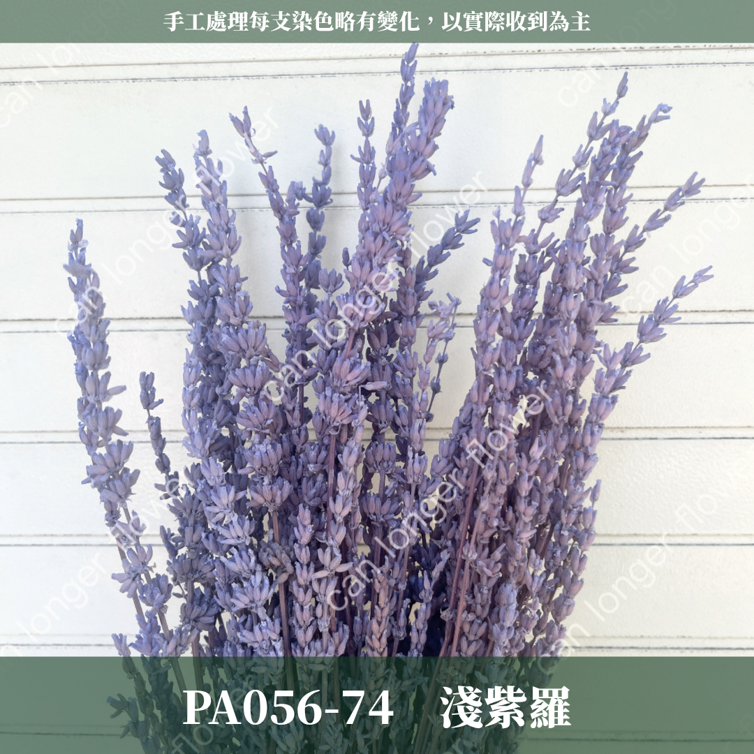 ✿ 台灣現貨 ✿ PA056 薰衣草 原裝
