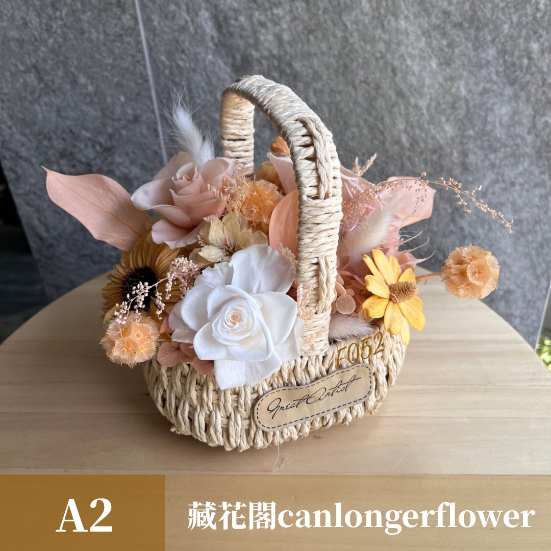 gift-f052 橘色系盆花 橙色 橘色 盆花 開幕 送禮 慶賀