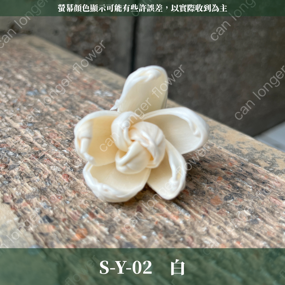 S-Y 索拉花 4CM 通草花 擴香花 台灣現貨