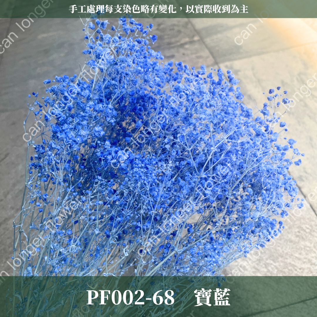 ✿ 台灣現貨 ✿ PF002 夢幻星