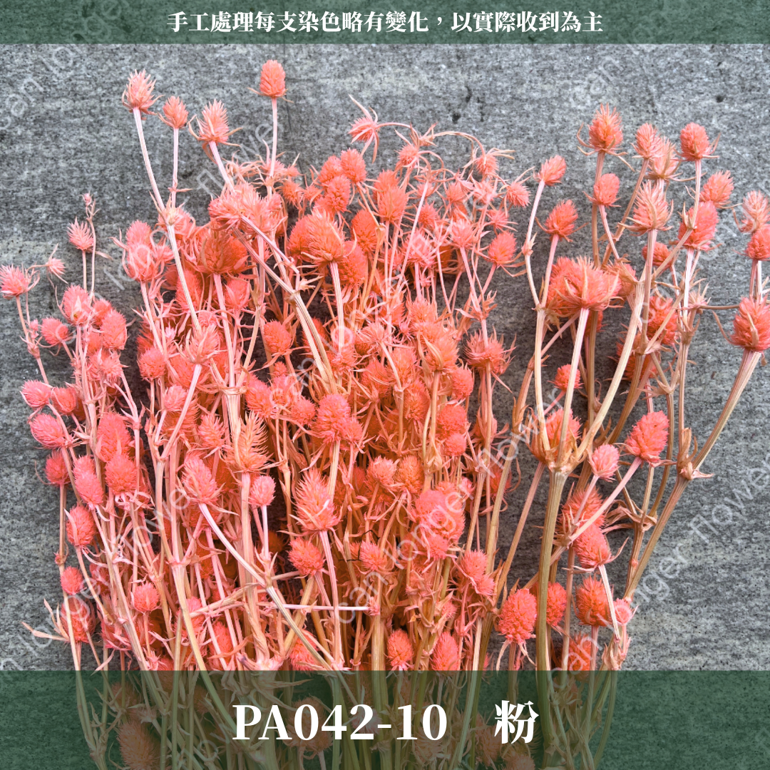 ✿ 台灣現貨 ✿ PA042 小薊果 紫薊花 刺芹花 小薊花