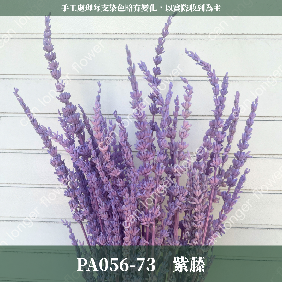 ✿ 台灣現貨 ✿ PA056 薰衣草 原裝