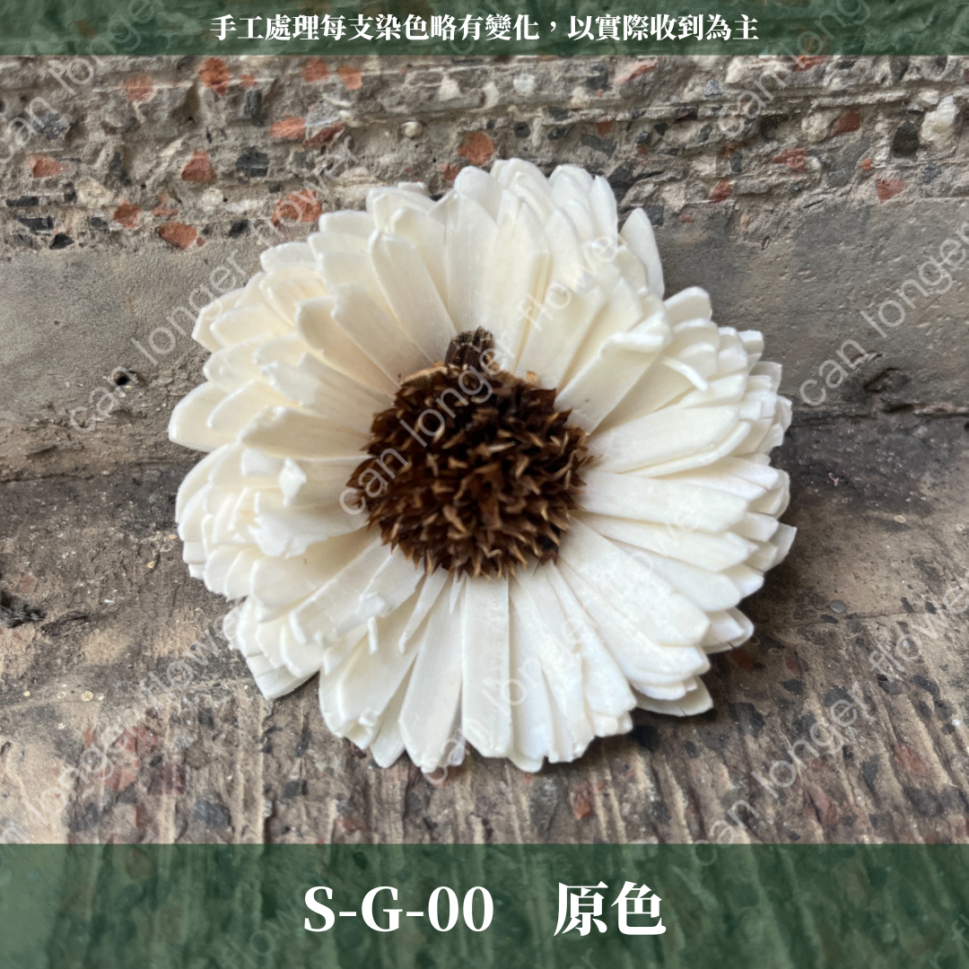 ✿ 台灣現貨 ✿ S-G 索拉花 6CM 通草花 擴香花