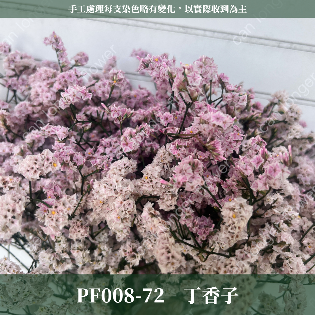 PF008水晶花 原裝 台灣現貨