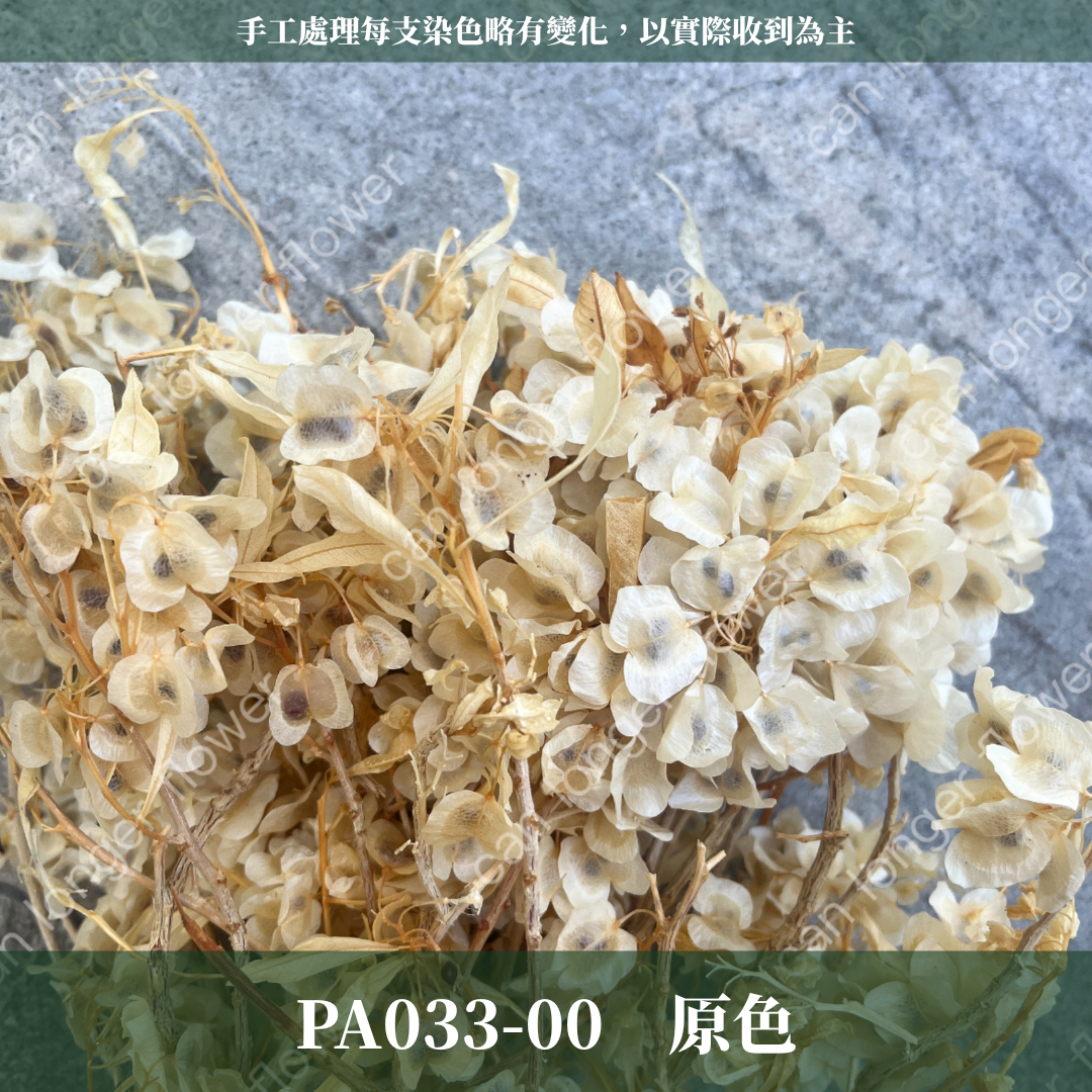 ✿ 台灣現貨 ✿ PA033 蝴蝶花 原裝